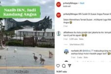 Bukan Pejabat, Bebek Duluan Tinggal di IKN! Netizen: “Ternak Mulyono Udah Mapan”