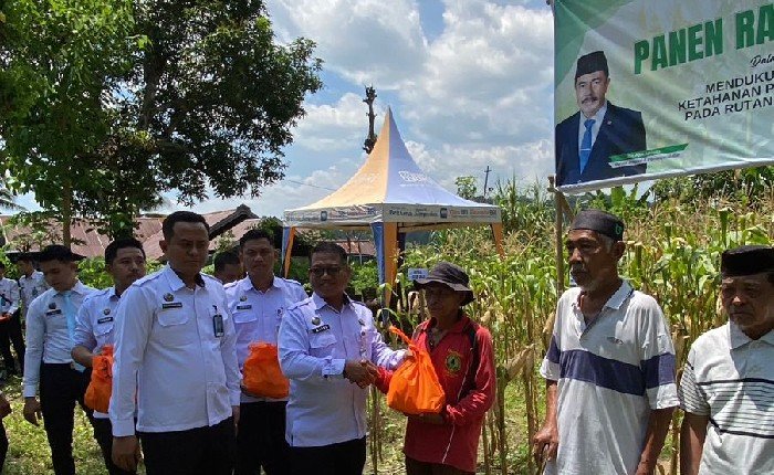 7 Sorotan Terkait Panen Raya Jagung Rutan Sinjai bersama Kanwil Ditjenpas Sulsel