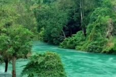 Pelepasan Air Danau Singkarak di Ombilin Mirip Aliran Sungai di Swiss