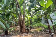 Kejaksaan RI Lelang Aset Rampasan PT Bank BJB Syariah Senilai Rp5,46 Miliar