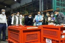 Empat Orang Utan Hasil Sitaan Perdagangan Ilegal Dipulangkan dari Thailand ke Indonesia