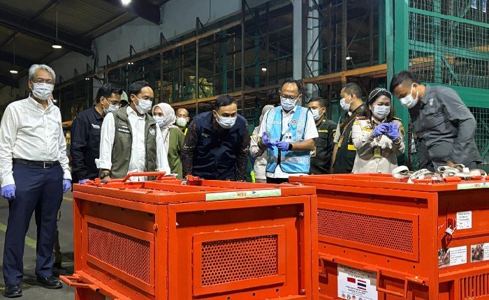 Empat Orang Utan Hasil Sitaan Perdagangan Ilegal Dipulangkan dari Thailand ke Indonesia