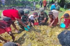 Masyarakat Papua sedang melaksanakan ritual bakar batu, pada Sabtu, (10/1/2026) siang.