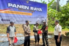Program Ketahanan Pangan dan Pembinaan Rutan Sinjai : Kembangkan Pertanian Hortikultura dan Perkebunan