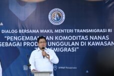 Viva Yoga Petik Buah Nanas Pekanbaru