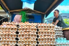 Harga Telur di Kabupaten Sinjai Naik Jelang Ramadan