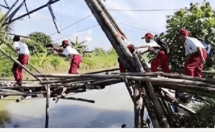 Sejumlah Anak SD Melintasi Jembatan Selebar Telinga Tikus Berdasi