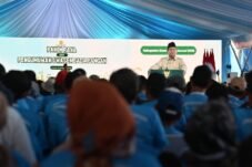 Presiden Prabowo Kunjungi Karawang, Panen Raya Padi