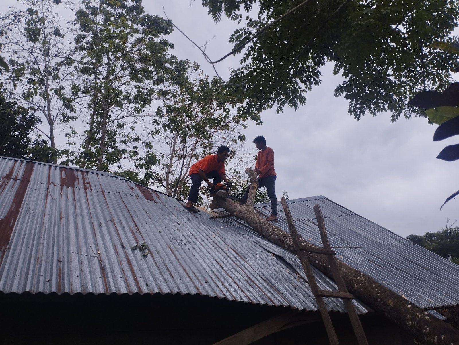 Kemarin Angin Kencang Rusak Tiga Rumah Warga di Desa Saukang, Sinjai Timur