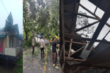 Rentetan Dampak Cuaca Ekstrem di Sinjai : Pohon Tumbang dan Rumah Warga Rusak