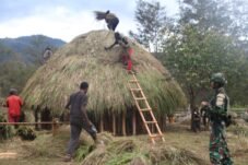 Satgas Yonif 521/DY Gotong Royong Bangun Honai, Perkuat Nilai Budaya dan Persatuan di Distrik Walesi