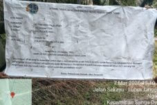 Skandal Rekayasa "BPN Muba" Peralihan Lahan Transmigrasi Air Balui Ke Korporasi Sawit, Kejaksaan Agung Usut Tuntas!