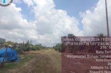 Konsesi PT Diamond Raya Timber Diperdebatkan, Argumentasi Gubernur Disanggah Soal Jalan Sinaboi–Dumai
