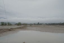 Satgas PRR Komit Soal Rehabilitasi 31.248 Ha Tambak Sumatera