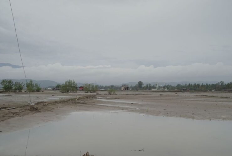 Satgas PRR Komit Soal Rehabilitasi 31.248 Ha Tambak Sumatera