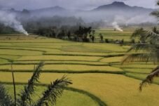 Desa: Pengertian, Ciri, Fungsi, dan Daftar Wilayah di Sinjai Selatan