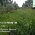 Warga Desa Lumahan Desak Normalisasi Parit Tanjab Barat