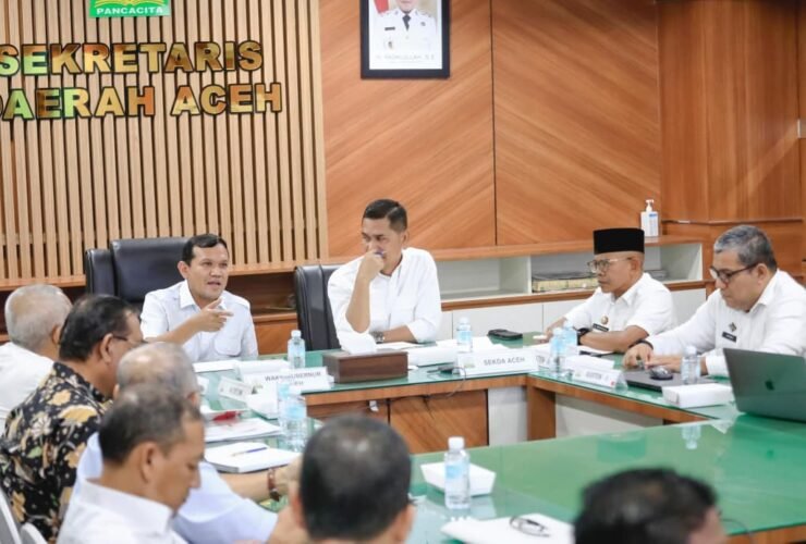 Pemerintah Aceh Matangkan Revisi UUPA Jelang Kunjungan DPR RI