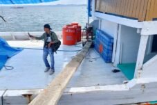 Istilah "Burung Licin " di Pelabuhan Larea-rea Mencuat, Siapa yang Sebenarnya Dibicarakan?