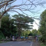 Aksi Heroik di Jalur Sinjai–Bulukumba