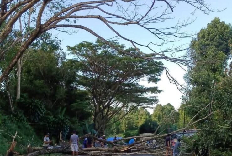 Aksi Heroik di Jalur Sinjai–Bulukumba