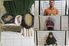 Polres Aceh Selatan Bongkar Jaringan Peredaran Ganja, Tiga Pelaku Ditangkap dan 110 Batang Ganja Disita