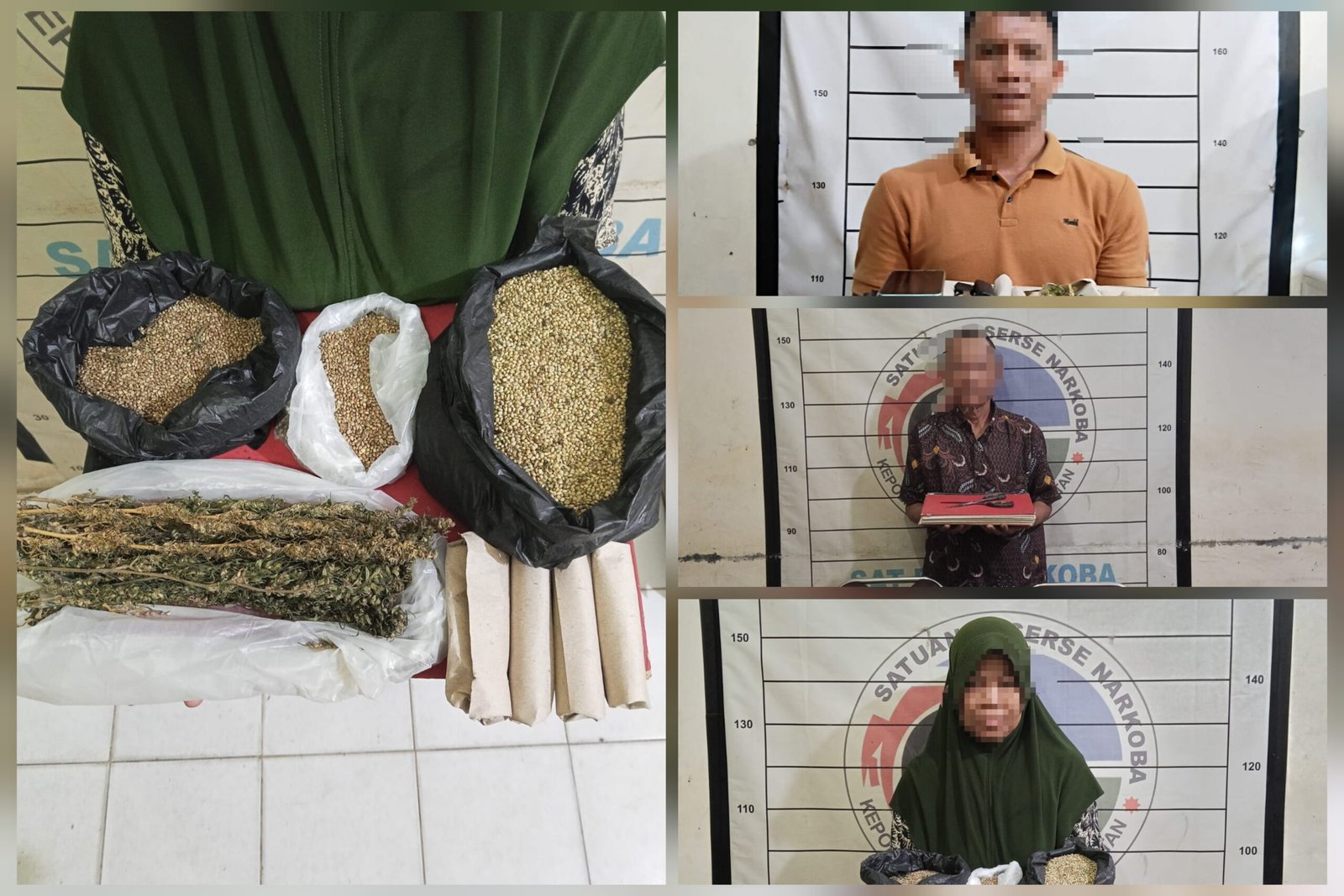 Polres Aceh Selatan Bongkar Jaringan Peredaran Ganja, Tiga Pelaku Ditangkap dan 110 Batang Ganja Disita