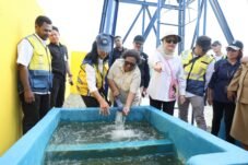 Agy-InsertRakyat.com -Wamendagri Ribka Haluk meninjau proyek infrastruktur strategis di Kabupaten Jayapura, Papua.(sumber.dok.foto-Puspen Kemendagri, Beni Irwan).