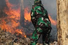 Foto simulasi penanganan kebakaran hutan dan lahan di Alas Kethu, Wonogiri.