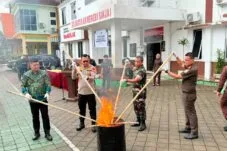 Foto pemusnahan barang bukti di halaman Kantor Kejaksaan Negeri Sinjai.