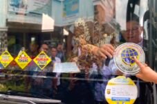 Direktur Jenderal Perhubungan Darat Kemenhub, Aan Suhanan, saat meninjau Terminal Tipe A Alam Barajo