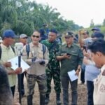 USUT TUNTAS KONGKALIKONG LAHAN TRANSMIGRASI AIR BALAUI