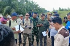 USUT TUNTAS KONGKALIKONG LAHAN TRANSMIGRASI AIR BALAUI
