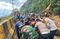 Foto: Evakuasi pohon tumbang di Jalan Nasional Tapaktuan–Blangpidie.