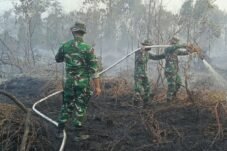 Personel gabungan memadamkan karhutla di Rimba Panjang Kampar