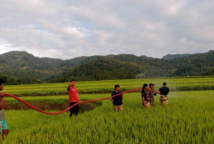 Sawah Warga Sinjai Kering, Damkar Suplai Air Ribuan Liter