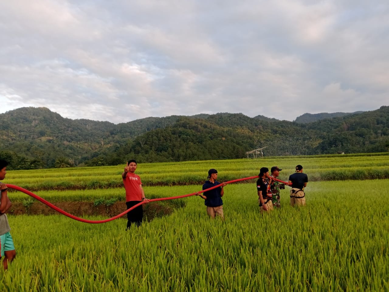 Sawah Warga Sinjai Kering, Damkar Suplai Air Ribuan Liter