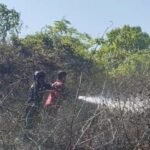 Api Nyaris Lahap Tiga Perumahan, Damkar Bergerak