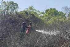 Api Nyaris Lahap Tiga Perumahan, Damkar Bergerak