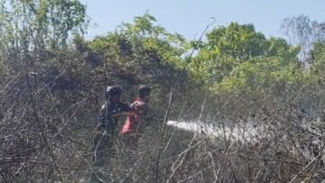 Api Nyaris Lahap Tiga Perumahan, Damkar Bergerak