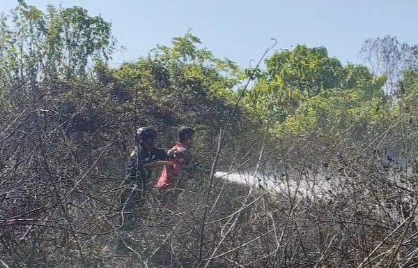 Api Nyaris Lahap Tiga Perumahan, Damkar Bergerak