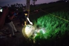 Seorang Pria Ditemukan Tewas di Sawah, Polisi Selidiki