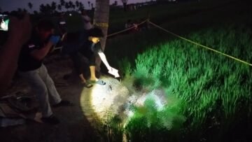 Seorang Pria Ditemukan Tewas di Sawah, Polisi Selidiki