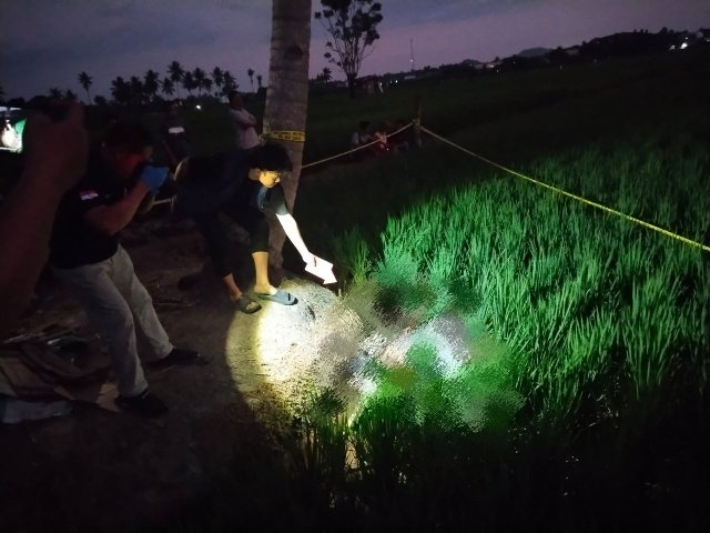 Seorang Pria Ditemukan Tewas di Sawah, Polisi Selidiki