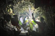 Kebakaran Sawit di Luyo, Polisi dan Warga Bergerak Cepat