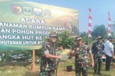 10.000 Pohon Ditanam Serentak di Sumbar, HUT ke-1 Kodam XX/TIB