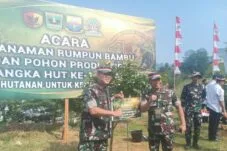 10.000 Pohon Ditanam Serentak di Sumbar, HUT ke-1 Kodam XX/TIB