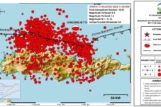Gempa Flores M7,7 Picu 1.624 Susulan, 53 Orang Meninggal