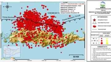 Gempa Flores M7,7 Picu 1.624 Susulan, 53 Orang Meninggal