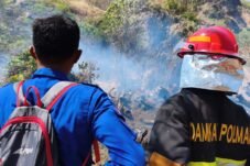Awal September, Dua Karhutla Terjadi di Polman dalam Sehari